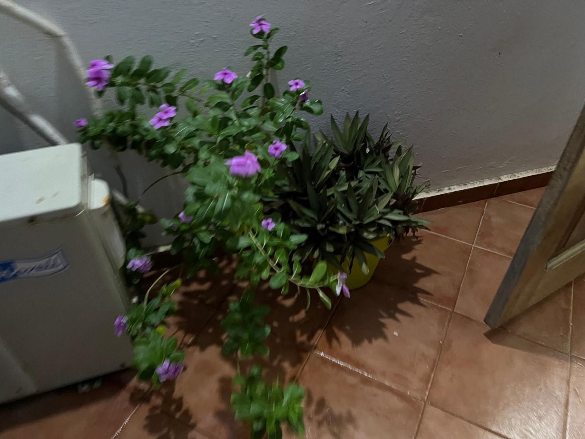 Residence Djily Mbaye Dakar Dış mekan fotoğraf